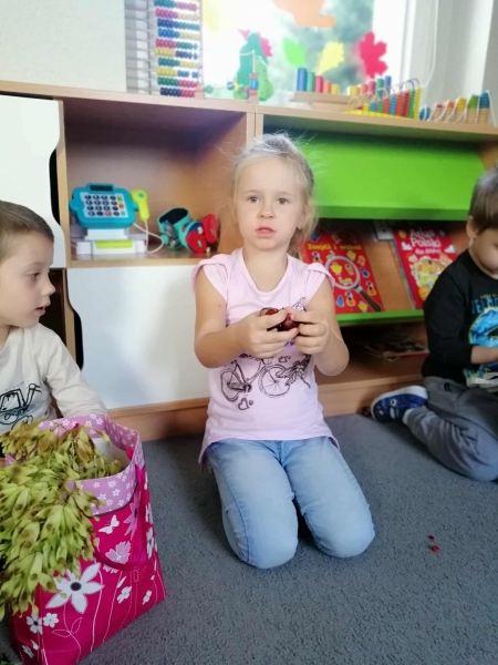 Tygryski i dary jesieni