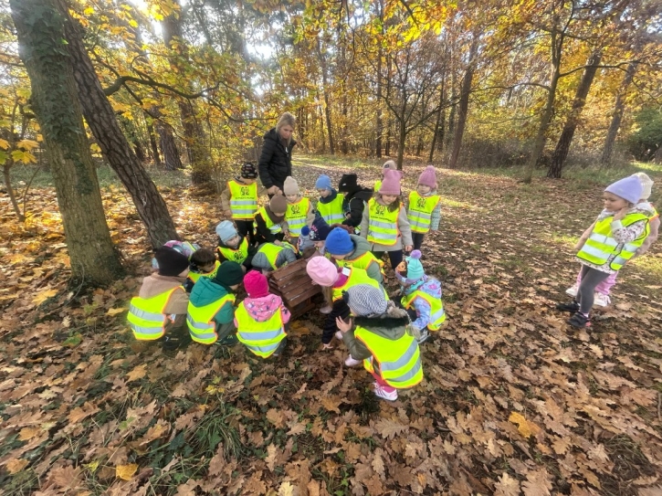 Wycieczka do lasu